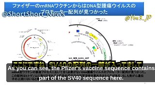 MALICIOUS! Prof. Murakami discusses cancer promoting DNA sequence found in Pfizer jabs