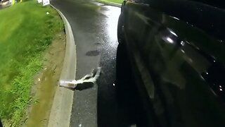 Officer removes two cups from skunk's head