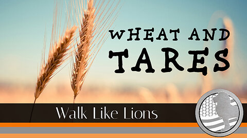 "Wheat and Tares" Walk Like Lions Christian Daily Devotion with Chappy Aug 21, 2023