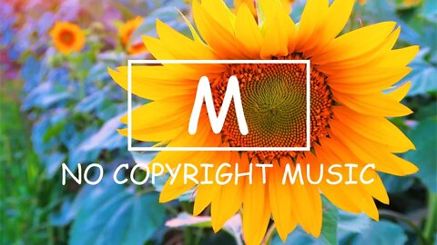 Vlad Gluschenko - Changes（Mm No Copyright Music）