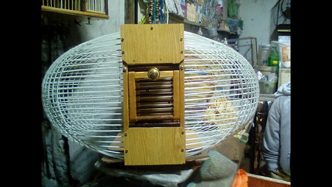 Canary Egg Shape cage