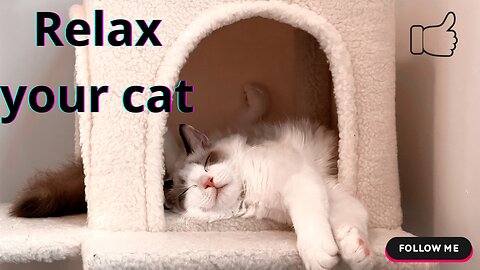 RELAXING music for stressed CATS 🐱💫 Relax and calm your feline!