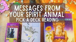 Pick a deck reading- Messages from your Spirit animals