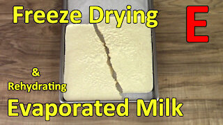 Freeze Drying & Rehydrating Evaporated Milk