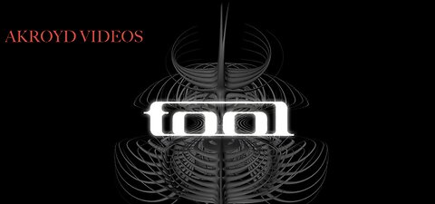 TOOL - VICARIOUS