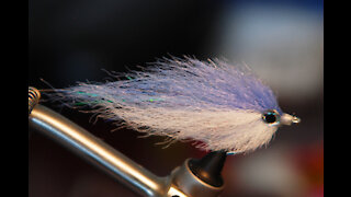 EP Style Baitfish Fly - Underwater Footage - Saltwater and warmwater streamer fly
