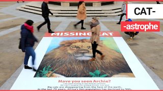 Massive missing cat poster with a difference appeared on the London’s streets