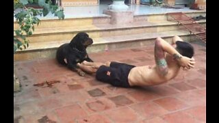 Dog helps owner achieve six pack abs