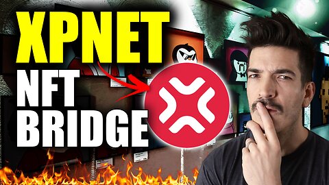 XPNET Crypto Review - Bridge Your NFT's Anywhere