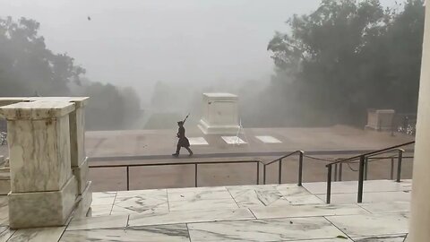 POWERFUL! Tomb of the Unknown Soldier Leans into Massive Wind Gusts at Arlington National Cemetery
