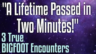 3 Bigfoot Encounters - "A lifetime passed in those 2 minutes!"