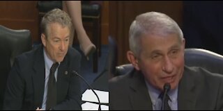 Rand Paul RAILROADS Fauci With FACTS About His Baseless Recommendations