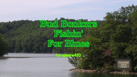 Bud Bonkers Fishin' For Blues