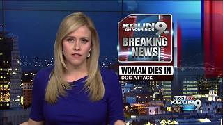 Volunteer dead after being attacked by dog in Phoenix