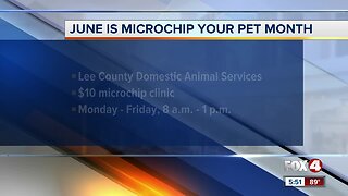 Lee County Domestic Animal Services offering discounted micro-chipping