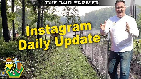 Instagram Friday Update. |Trying Something New on YouTube #beekeeping #vlog #bugfarmer