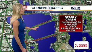 Wrong-way driver killed on Howard Frankland