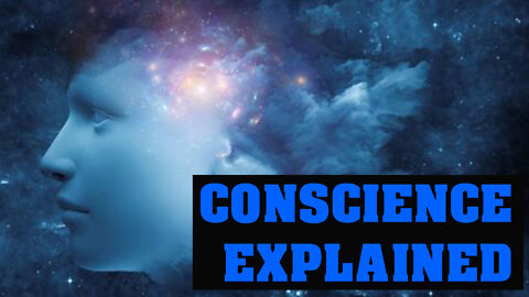 Consciousness, Wonder, Compassion, Conscience, Cerebellum (Rudolf Steiner), Pinecone