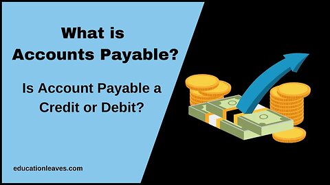 What is Accounts payable? । Accounts payable Debit or Credit