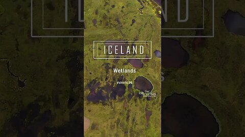 Iceland Wetlands - #shorts