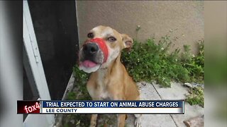 Trial of man accused of taping dog's mouth shut to begin Tuesday