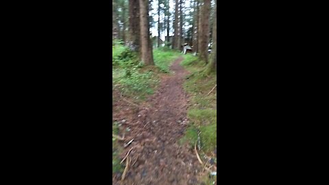 Alaska trail