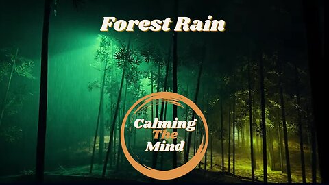 10 hours of Forest Rain | For Relaxing and Calming the Mind | Stress Relief