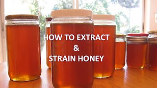 How to Extract & Strain Honey - Step by Step Guide