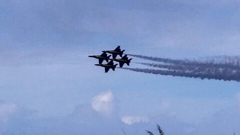 Blue Angel's in Duval