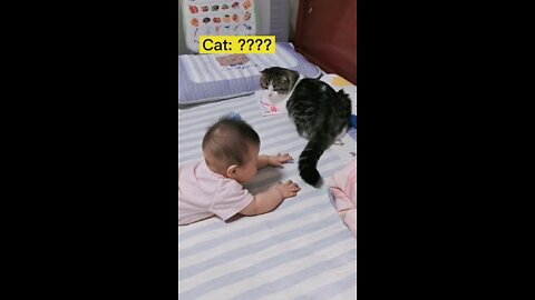 Baby and cat 🐈 fun video #short #shortsvideo