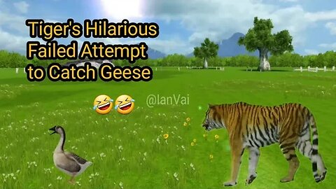 Watch a Tiger's Hilarious Failed Attempt to Catch Geese - Nature's Comedy Show