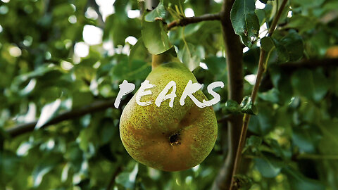 FOODIE || Farm-To-Table: Pears (2023)