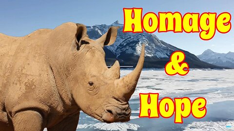 Outrageous! New Policy Idea For Rhinoceros Party of Canada