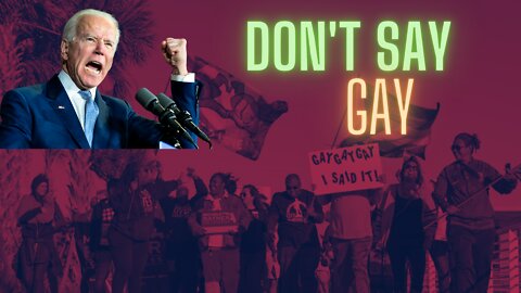 Don't Say Gay...Really 🤔 | Immigrant Corner