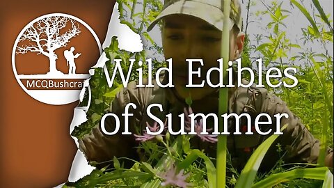 Bushcraft Foraging: Wild Edibles of Summer