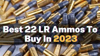 Best 22 LR AMMOS to Buy in 2023