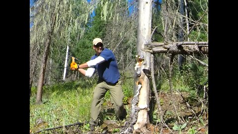 Pallet wood axe handle TEST CHOP