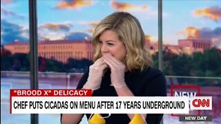 CNN’s Brianna Keilar Eats A Dead Cicada On Live TV