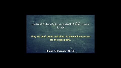 Part 06 : Surah 02 (Al-Baqarah) Verse 17 - 19 HD #shorts