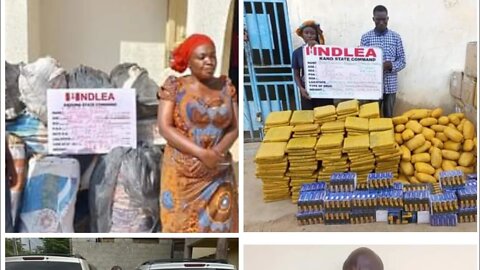 NDLEA arrests four wanted kingpins over 16 tons illicit drugs in Lagos and Abuja. #news