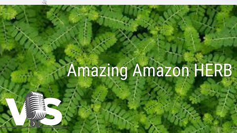 You Have To Learn About This Amazing Rainforest HERB! Don't miss!