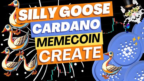 🦆Silly Goose🦆 on Cardano Setting up Minswap Pools Part2