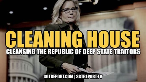 CLEANING HOUSE: CLEANSING THE REPUBLIC OF DEEP STATE TRAITORS - HARLEY SCHLANGER