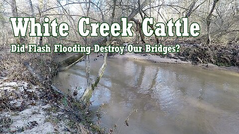 WCC - Did Flash Flooding Destroy Our Wooden Bridges?