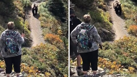 Hikers have no effect at all trying to scare off grizzly bear