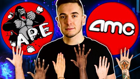 AMC & APE || Your Questions Answered