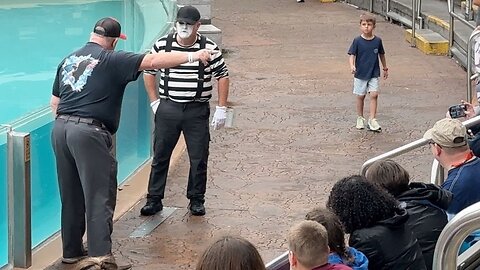 Lots of Laughs With Mime Tom at SeaWorld Orlando | Tom the Mime