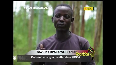 SAVE KAMPALA WETLANDS: Cabinet wrong on wetlands – KCCA