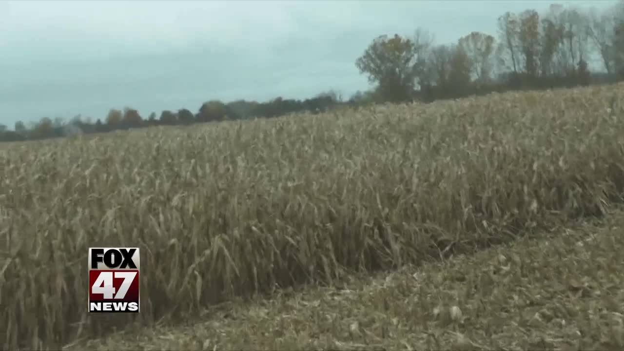 Effects of wet weather hurt Michigan farmers' harvest