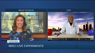 Live Science Experiment with MiSci